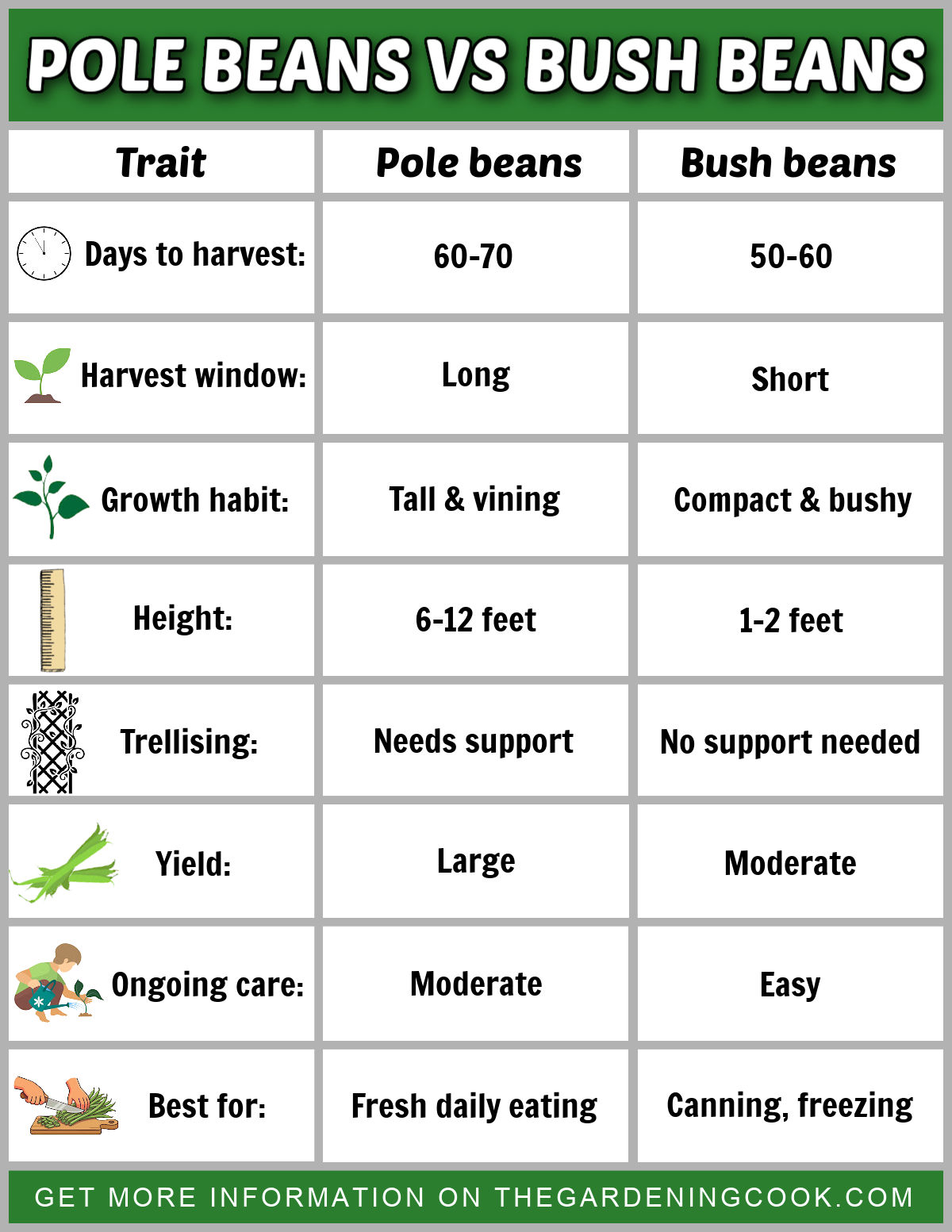 A printable showing the differences between pole beans vs bush beans at a glance.