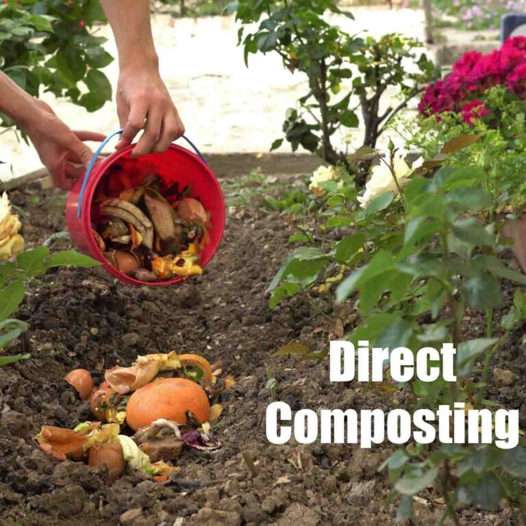 Person putting kitchen scraps from a red pail into the garden and words Direct Composting.
