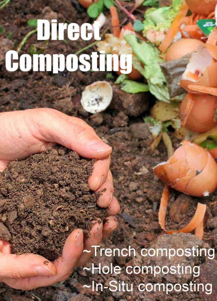 Direct Composting Guide: Instructions and Soil Benefits