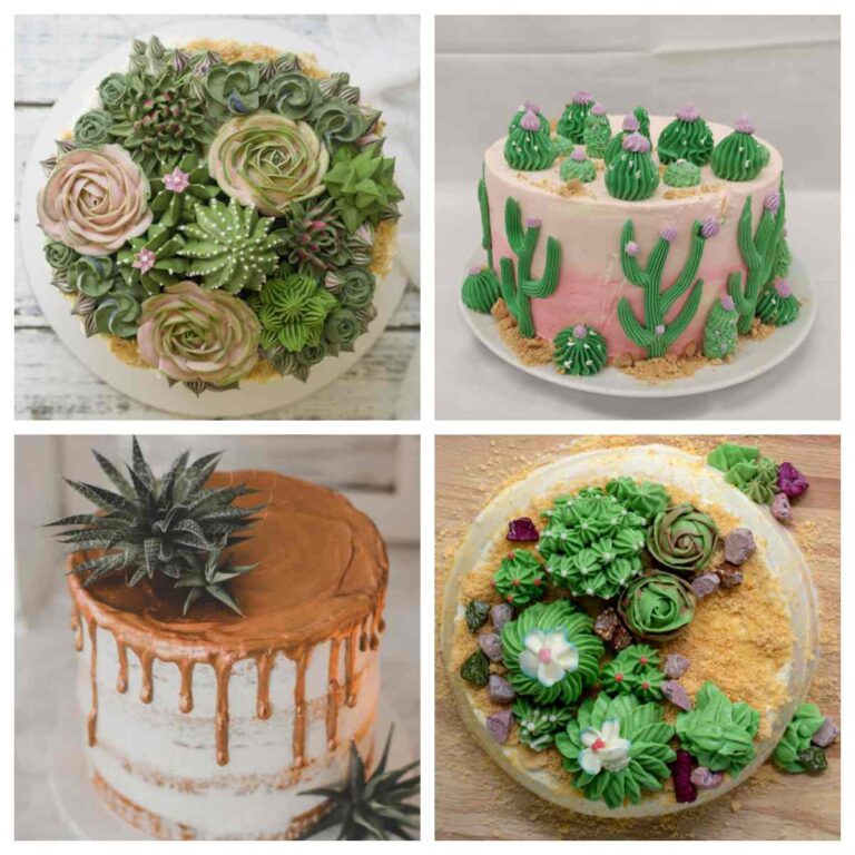 A collage of four buttercream cactus cakes and succulent cakes, two are shown from the side, and two are shown from the top.