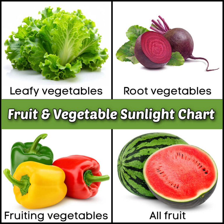 Pictures of lettuce, beets, peppers and watermelon in a collage. Green text box reads fruit & vegetable sunlight chart.