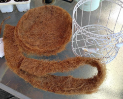 A white birdcage on a table with scissors and some cut cocoa coir fiber.