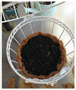 Open birdcage with soil in a cocoa coir liner on a patio table.