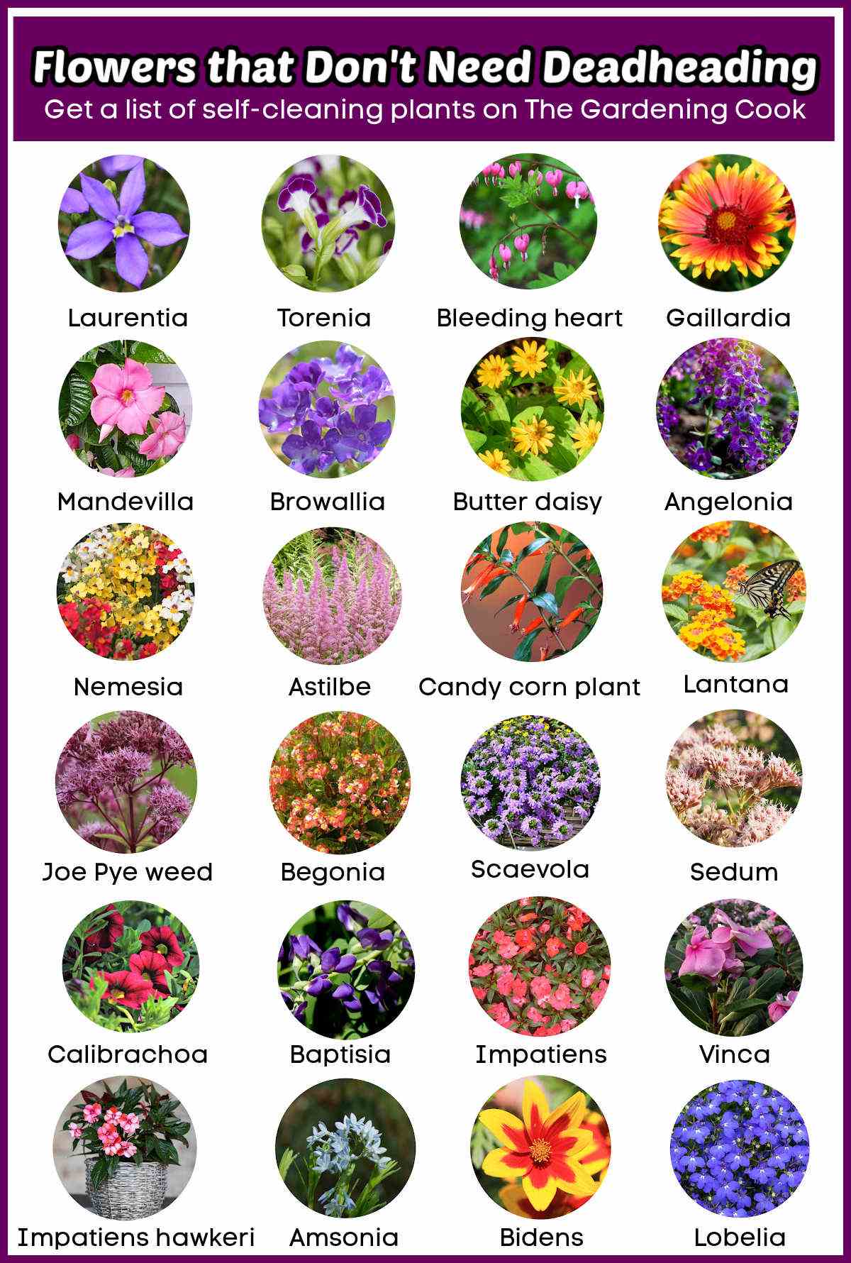 Pictures of flowers in circles on a graphic. Purple text overlay reads Flowers that don't need deadheading. Get a list of self-cleaning plants on The Gardening Cook.
