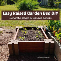Easy raised garden bed DIY project with concrete blocks and wooden boards.