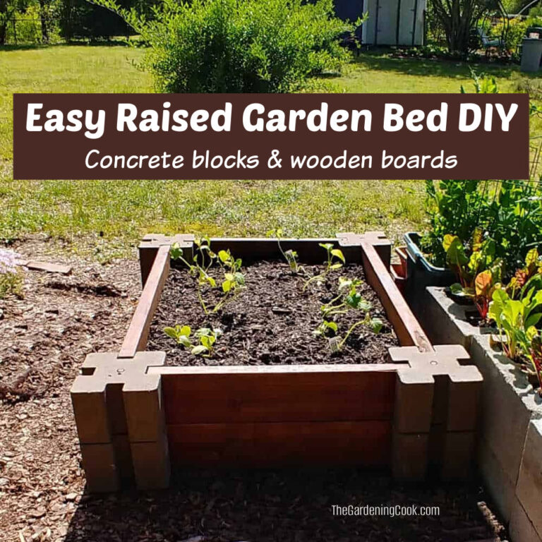 Easy raised garden bed DIY project with concrete blocks and wooden boards.