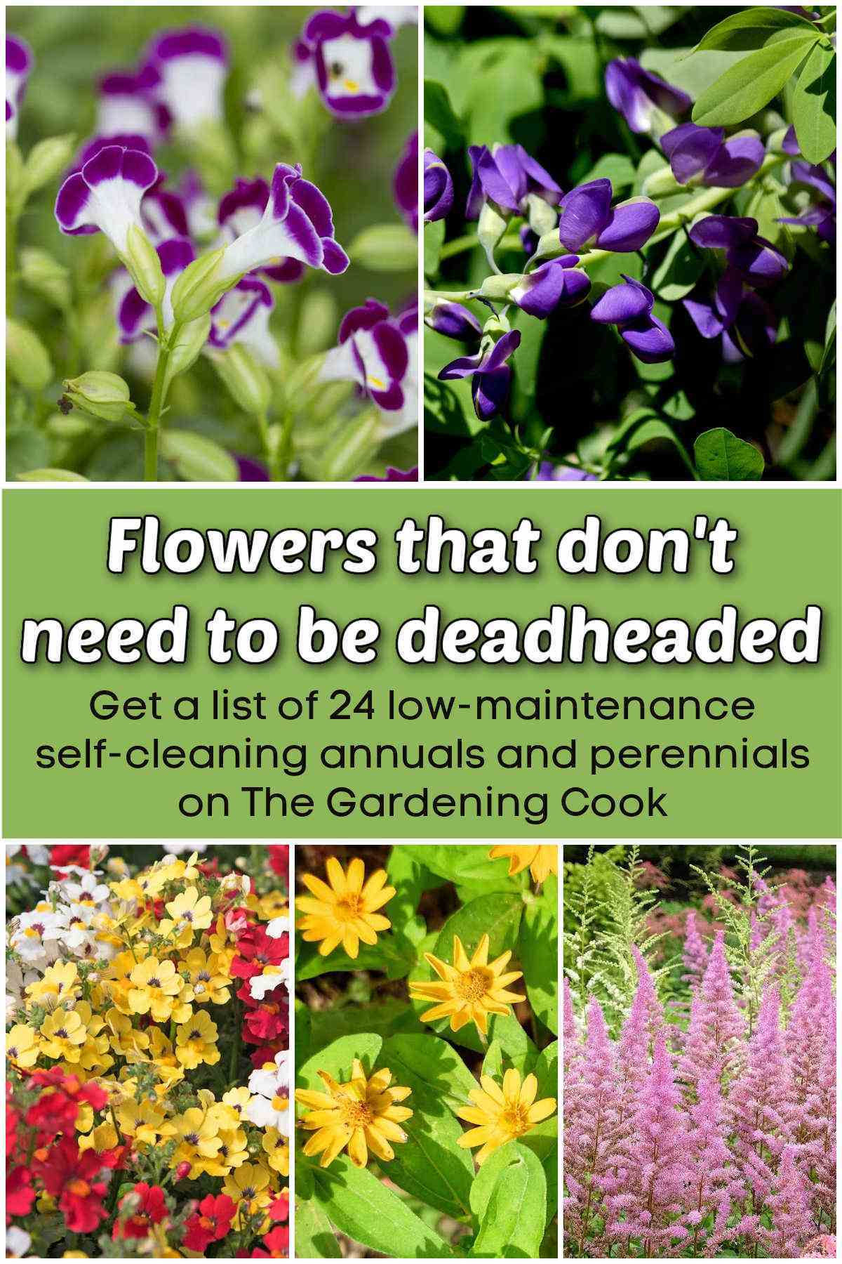 A collage with pictures of flowers. Green text block reads Flowers that don't need to be deadheaded. Get a list of 24 low-maintenance, self-cleaning annuals and perennials on The Gardening Cook.