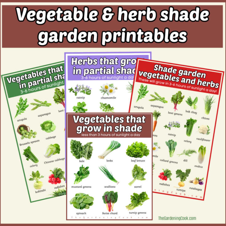 Four garden printables laying over each other. Brown text box reads Vegetable and herb shade garden vegetables.