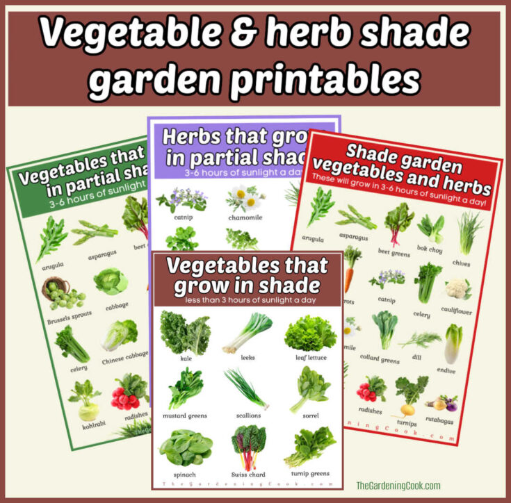 Four garden printables laying over each other. Brown text box reads Vegetable and herb shade garden vegetables.