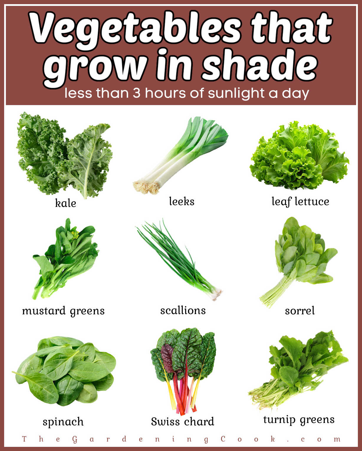 Pictures of vegetables in rows with names underneath them. Brown text box reads Vegetables that grow in shade - less than 3 hours of sunlight a day.