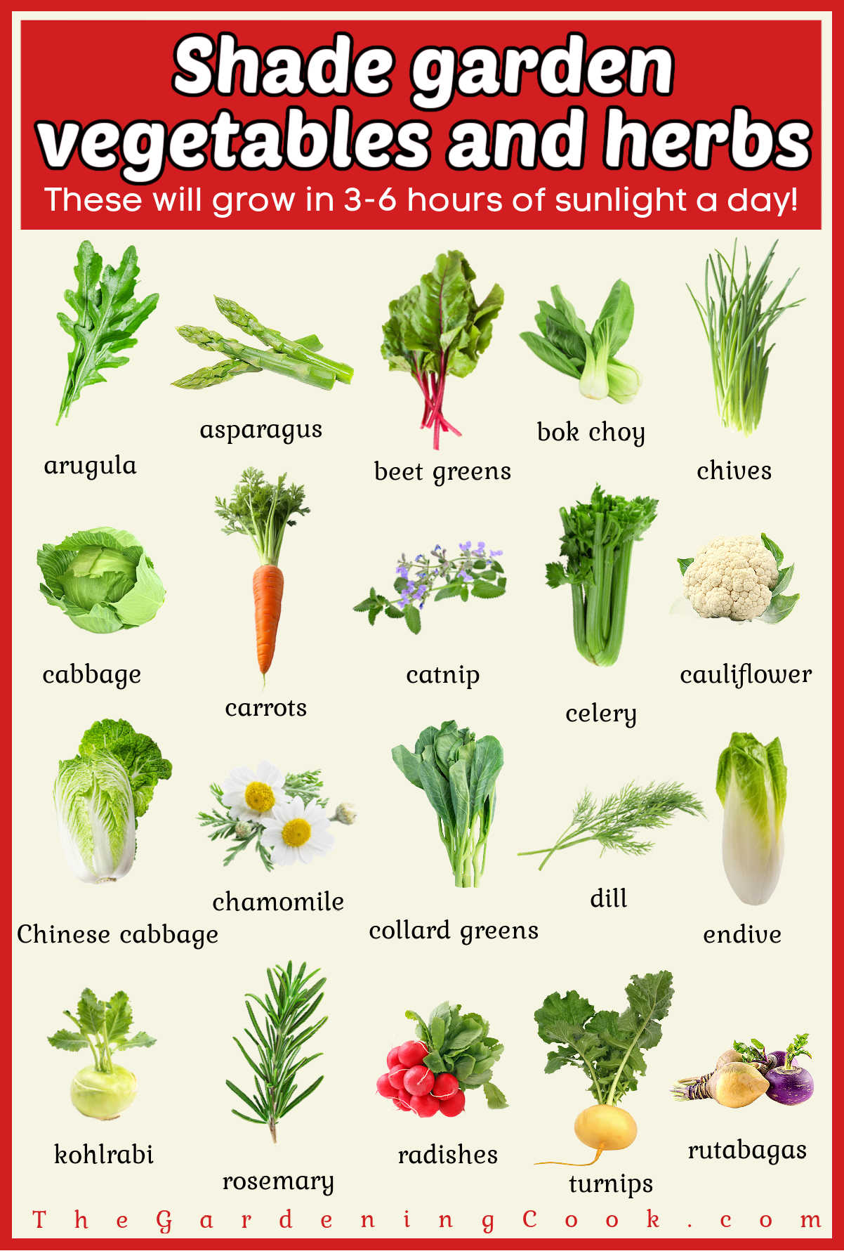 Pictures of herbs and vegetables with names under them. A pink text box reads Shade garden vegetables and herbs.