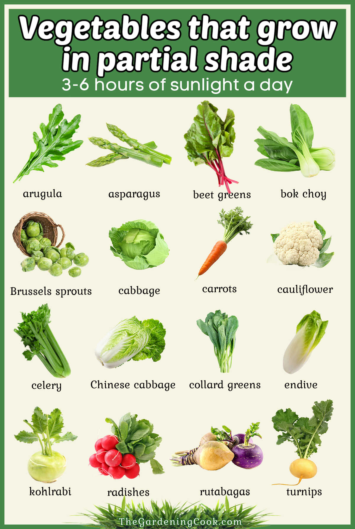 Pictures of vegetables in rows with names of each one. A green text box reads Vegetables that grow in partial shade - 3-6 hours of sunlight a day.