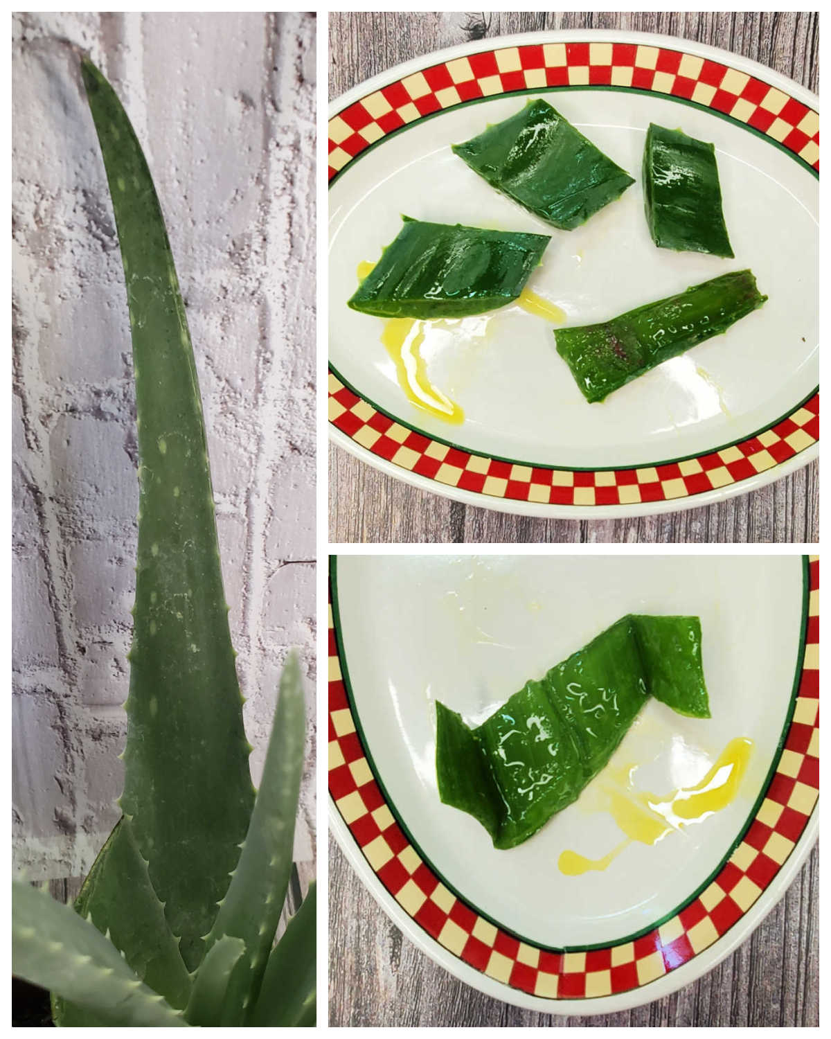 A collage showing a close up of aloe plant leaves and dishes with cut leaves showing the gel inside.