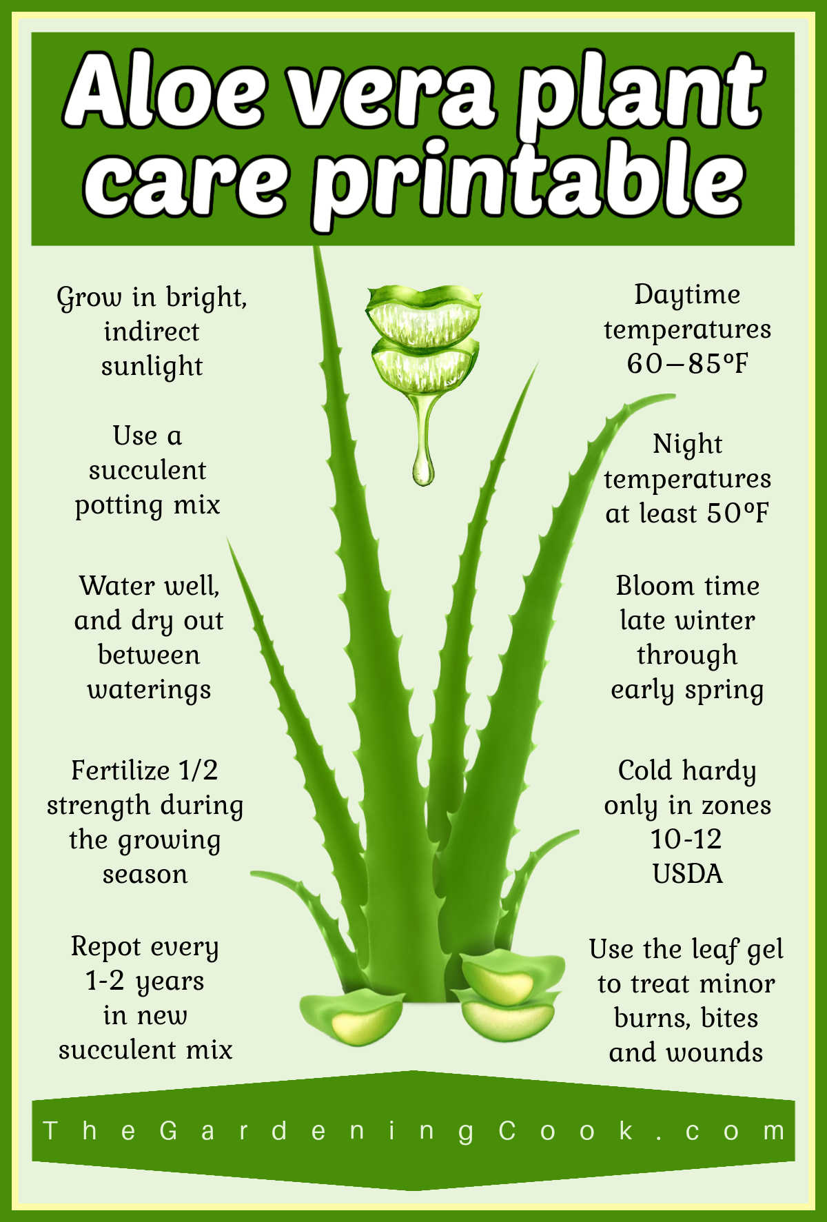An image of an aloe plant and gel dripping above it, surrounded by tips for its care. Green text box reads Aloe vera plant care printable.