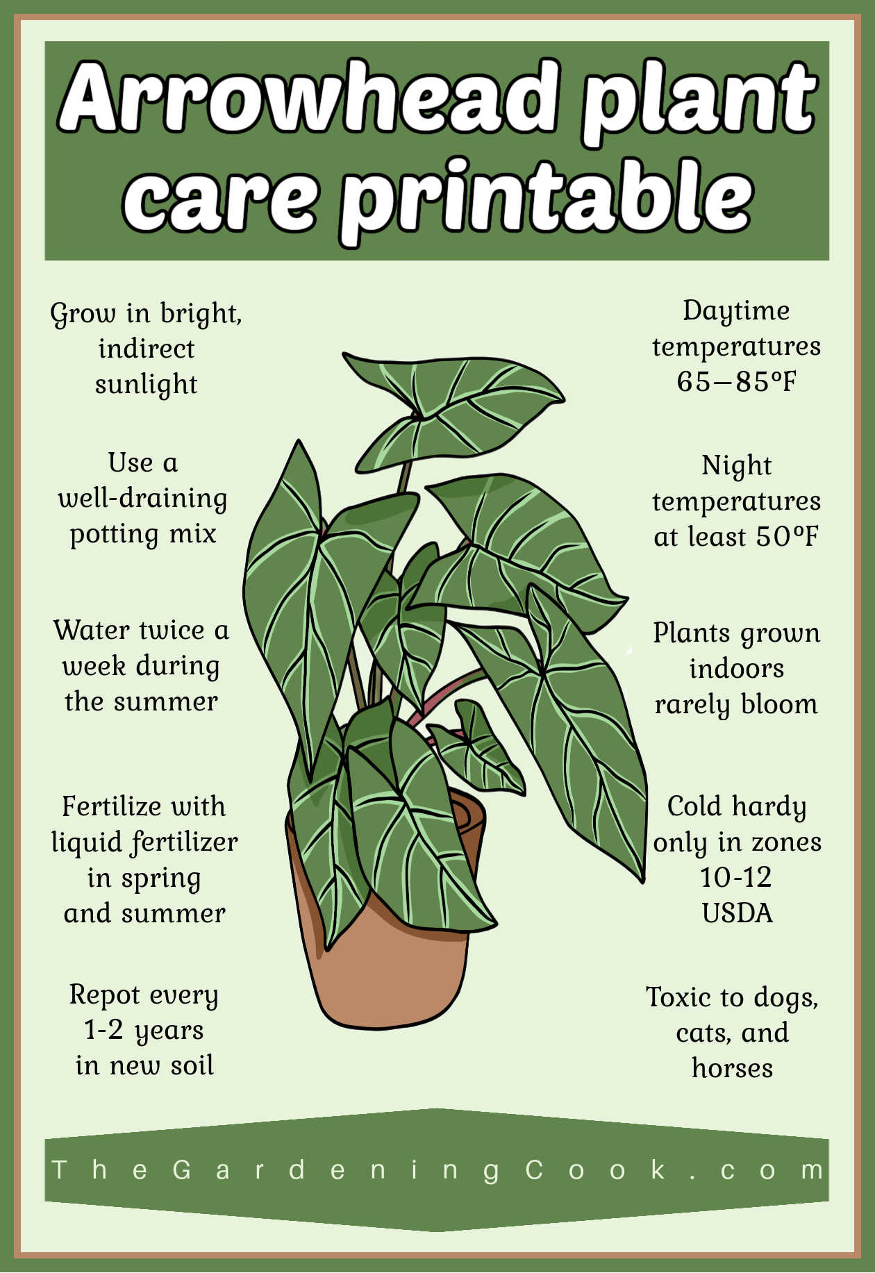 A printable showing an air plant photo and tips for growing the plant. Green text box reads Arrowhead plant printable.