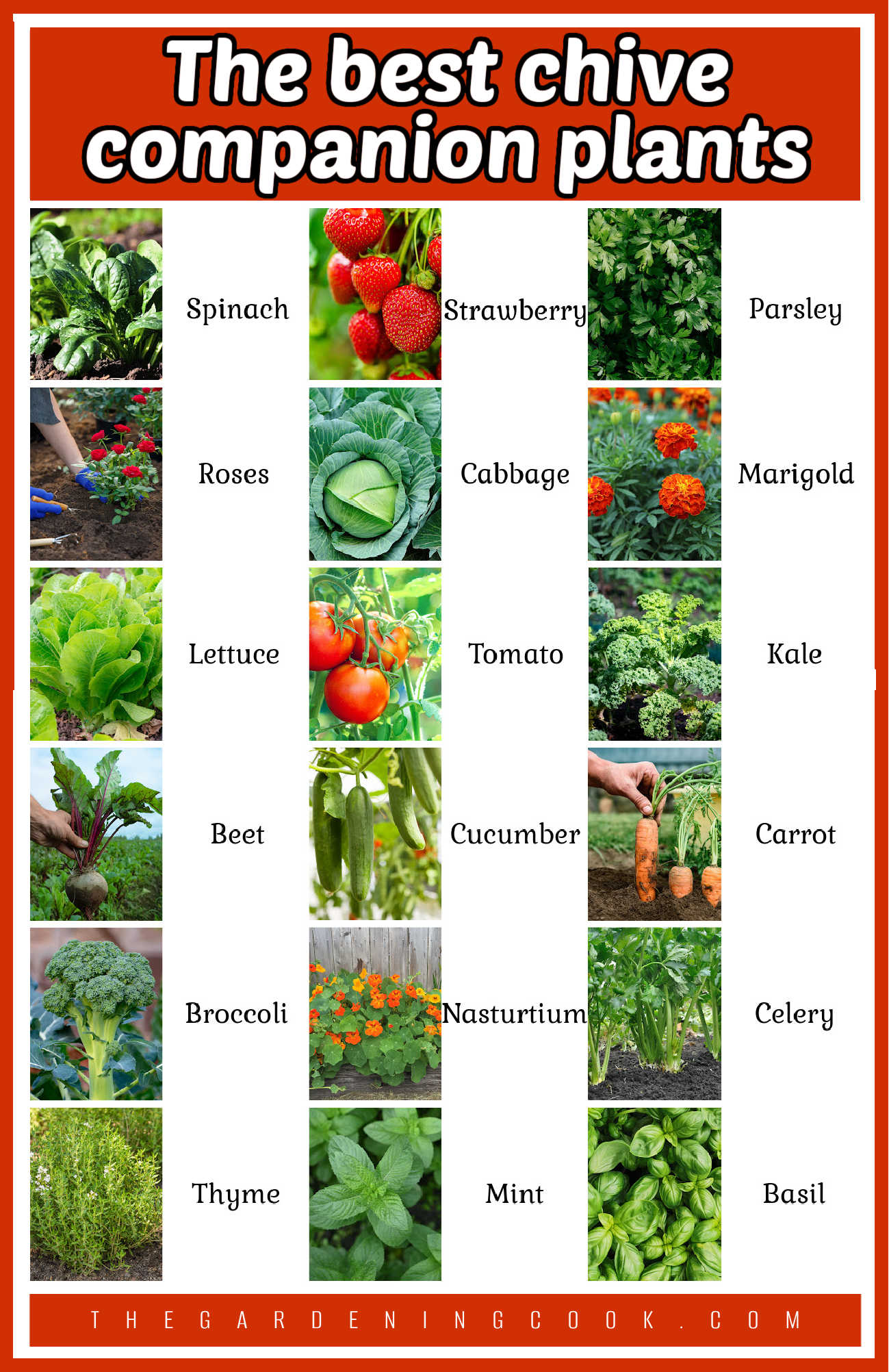 A garden chart with columns of fruits, vegetables, herbs , and plants with names beside them. Orange text box reads The best chive companion plants.