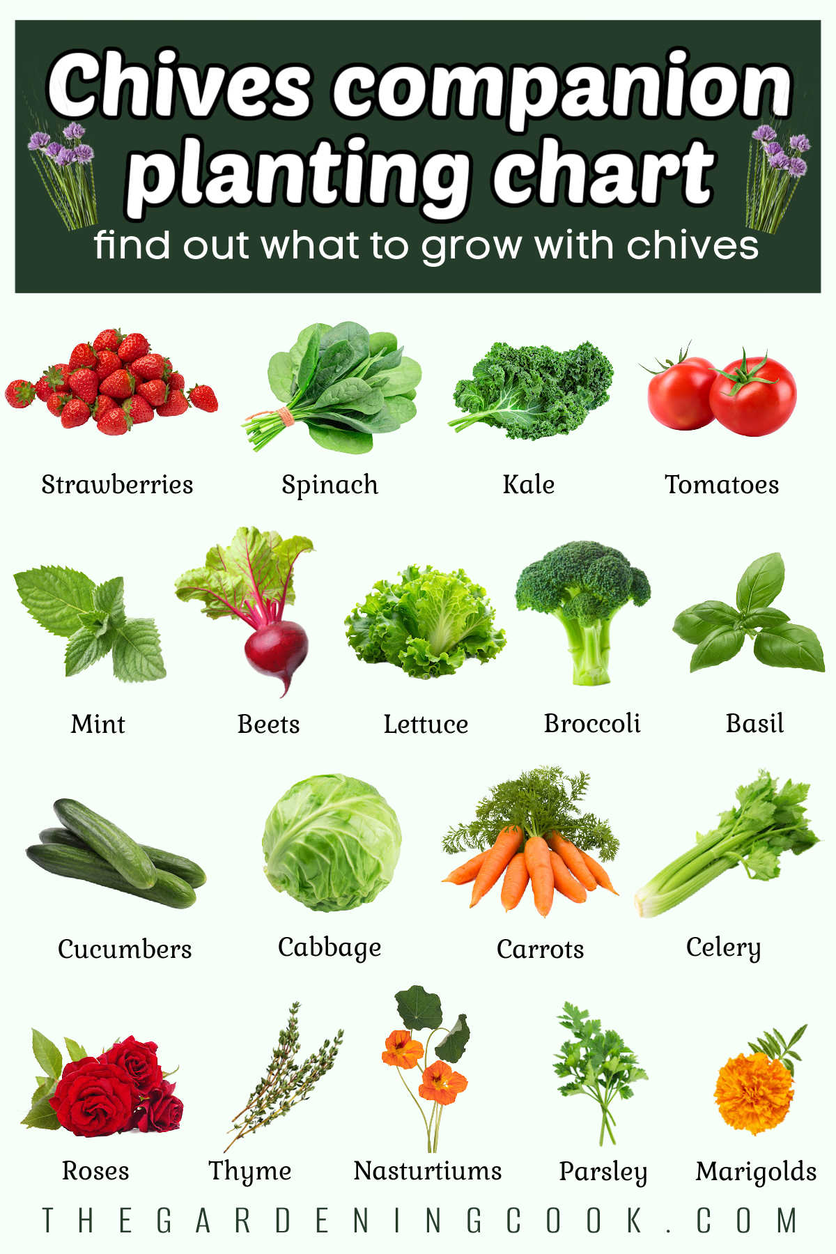 A graphic showing fruits, vegetables, herbs, and flowers in rows with names under the pictures. Green text box reads chives companion planting chart.