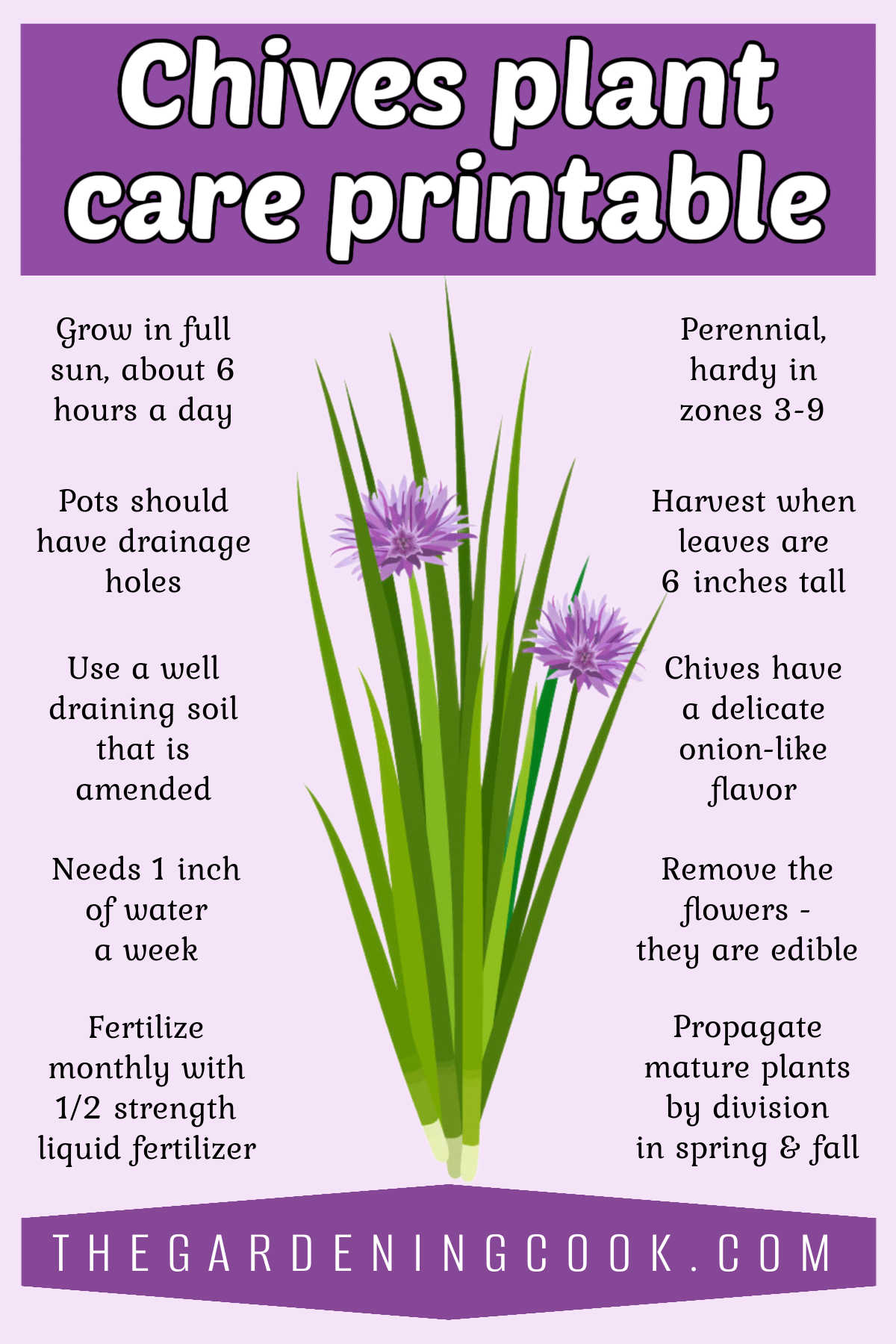 A graphic with a picture of a chives plant surrounded by growing tips for its care. Purple text box reads Chives plant care printable.