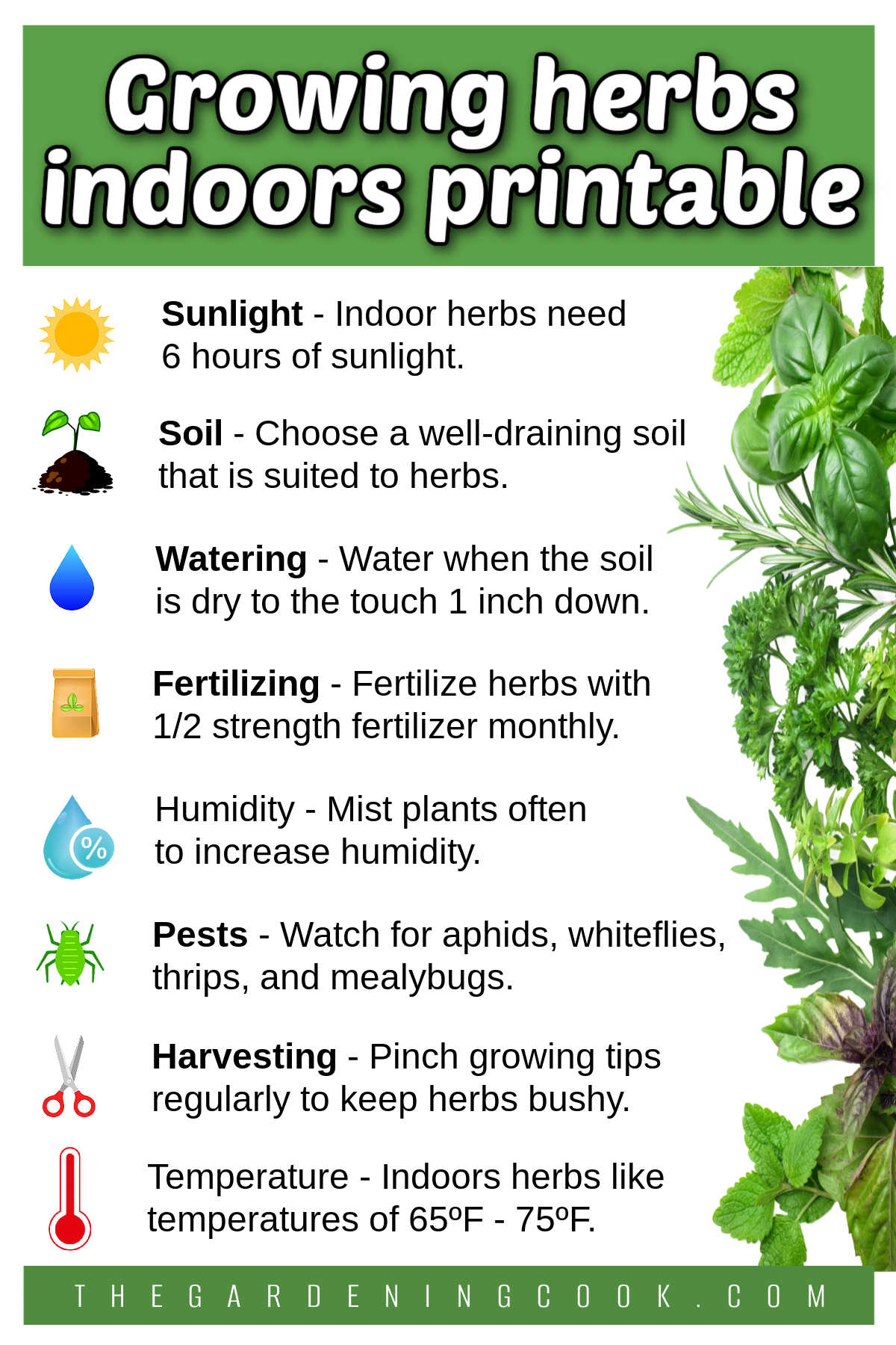 A printable with small gardening icons and care tips for an indoor herb garden. Green text box reads Growing herbs indoors printable.