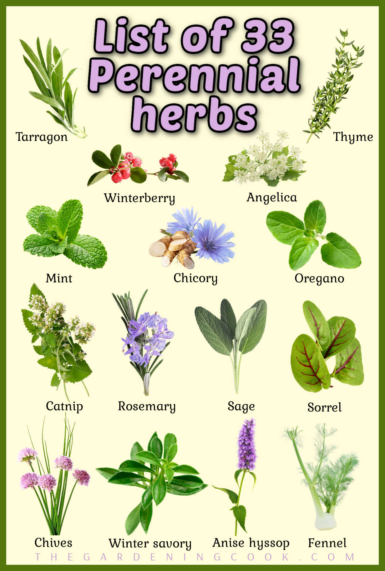 Pictures of herbs on a yellow background with the names underneath them. Large purple text reads List of 33 Perennial herbs.