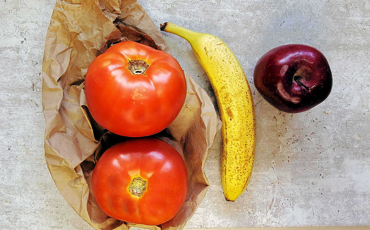 Two ripe tomatoes on a paper bag next to a banana and apple.