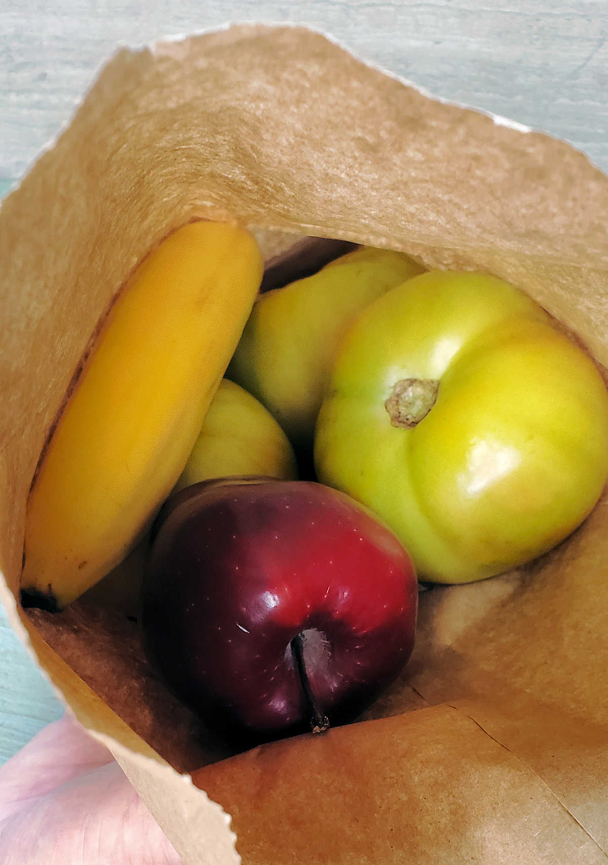 Ripening tomatoes in a paper bag. Hand holding open bag with green tomatoes, banana and apple.