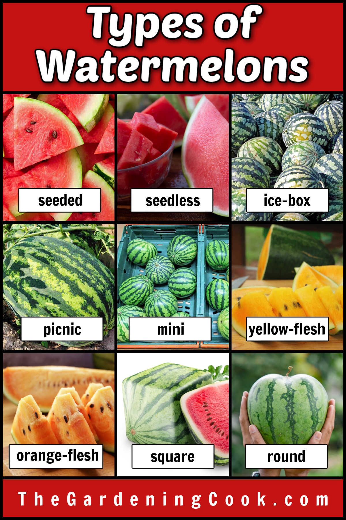 Do You Know About All the Types of Watermelons? Pictures of types of watermelons, including seeded, seedless, ice-box, picnic, mini, yellow flesh, orange flesh, square and round melons.