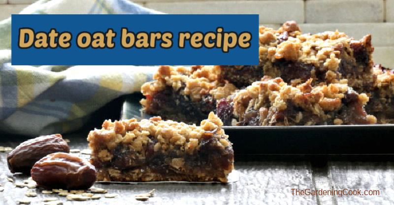 Old fashioned date bars on a plate and wooden counter with a blue checked towel. Blue text box reads Date oat bars recipe.