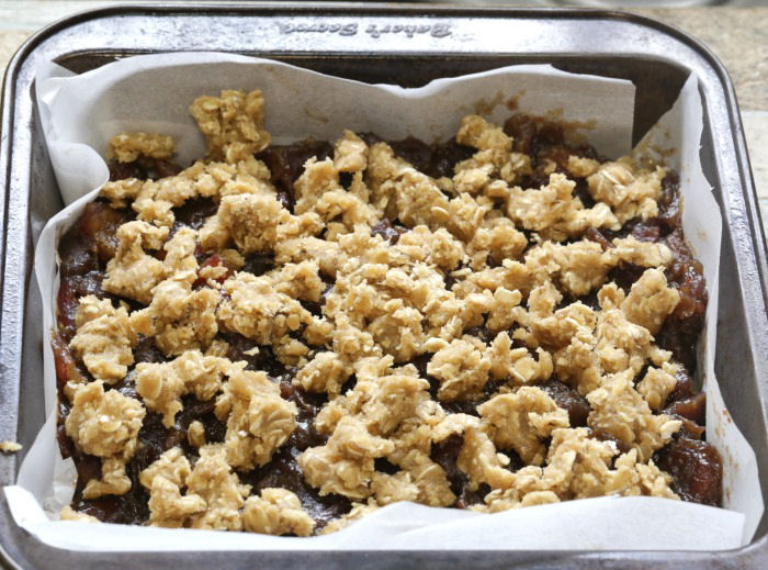 A date filling over a crumb crust in a pan, and topped with an oatmeal crumble topping.
