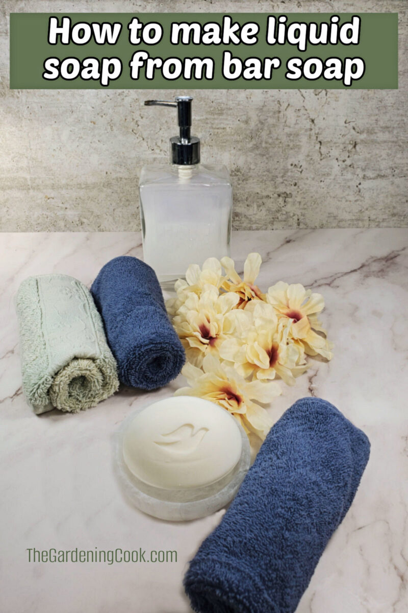 Make Liquid Soap From a Dove Bar – DIY Recipe
