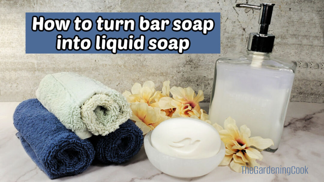 Make Liquid Soap From a Dove Bar – DIY Recipe