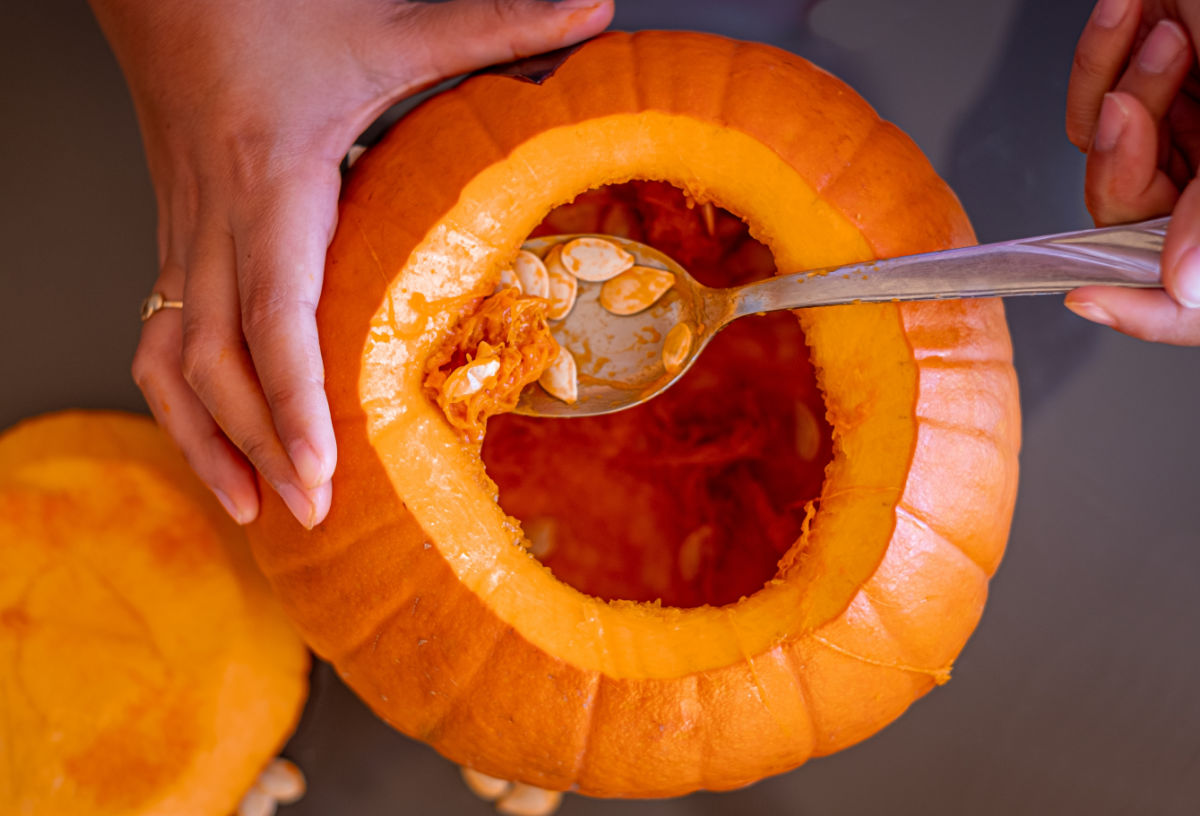 Start by cleaning the seeds from the pumpkin. A woman cleaning out a pumpkin of its seeds with a spoon.