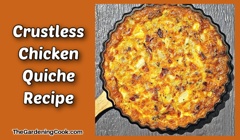 A crustless chicken quiche in a fluted flan pan.