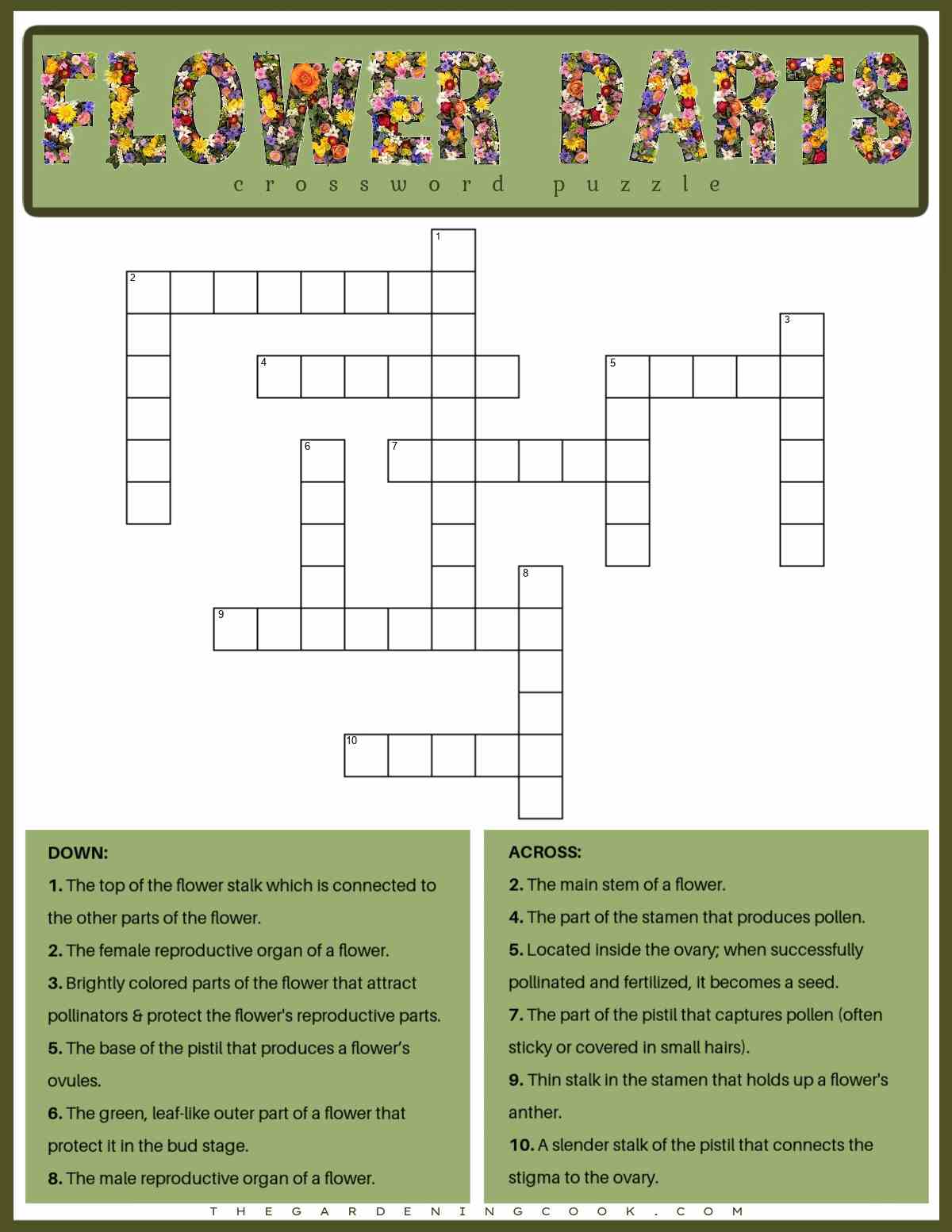 A flower part crossword puzzle with the clues at the bottom, the flower word puzzle in the center, and a text overlay made out of flowers that says flower parts crossword puzzle at the top.