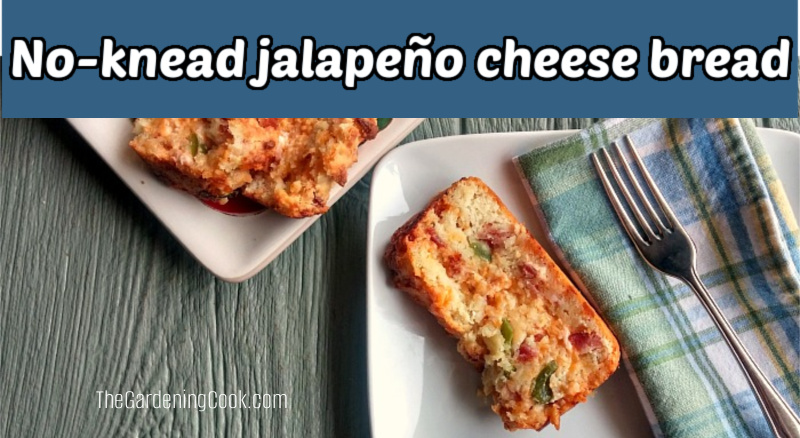 Japale&ntilde;o pepper bread on a white plate with a fork and blue napking. Blue text box reads no knead jalape&ntilde;o cheese bread.