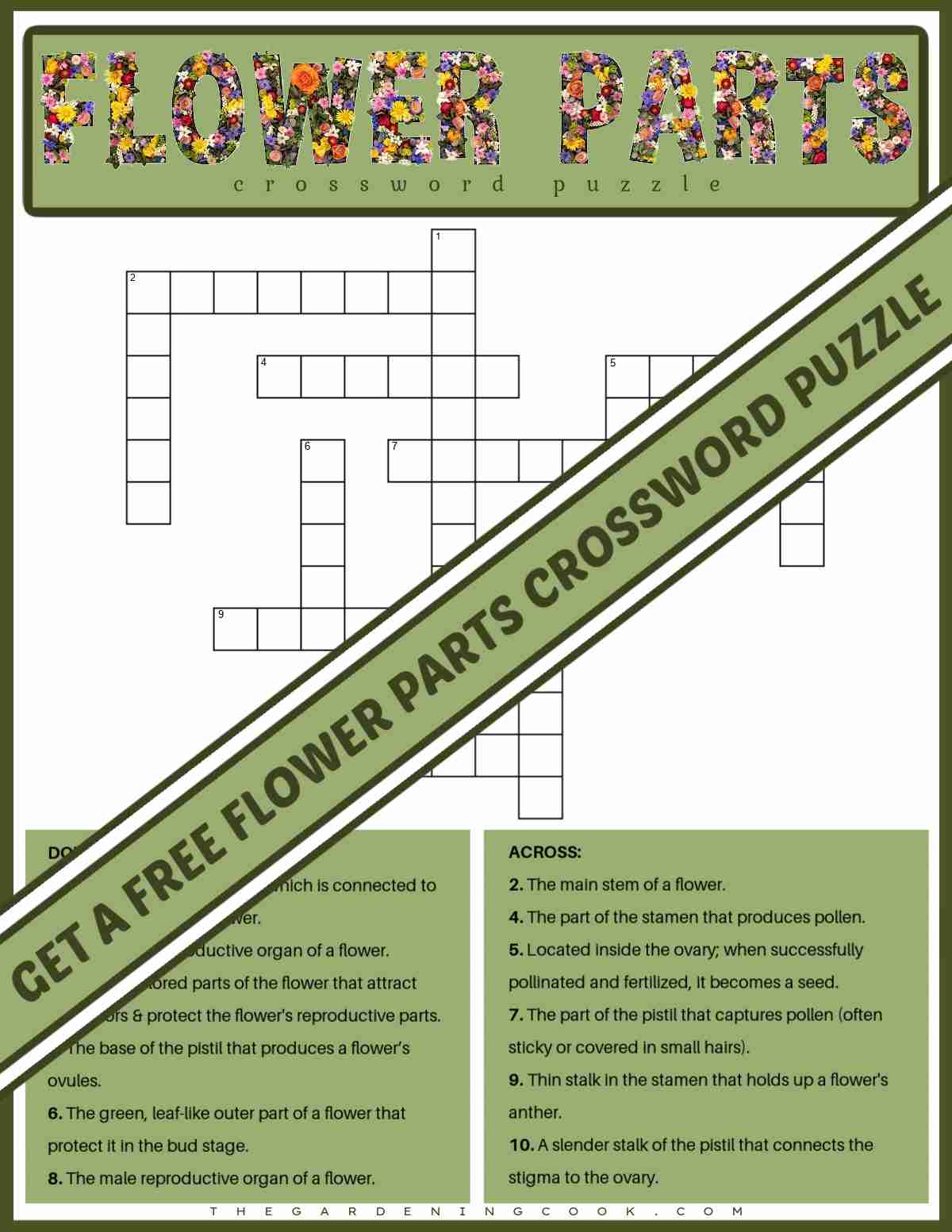A flower crossword puzzle with a green banner running diagonally across the image with black text on it that says get a free flower parts crossword puzzle.