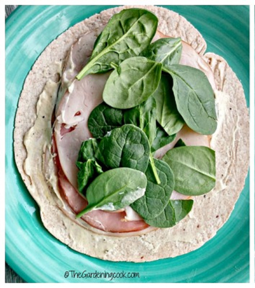 A turkey wrap on a green plate spread with ham, turkey, mayo, cheese and spinach leaves.