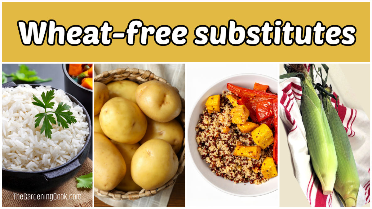 Rice, potatoes, quinoa, and corn in a collage with yellow text that reads wheat free substitutes.