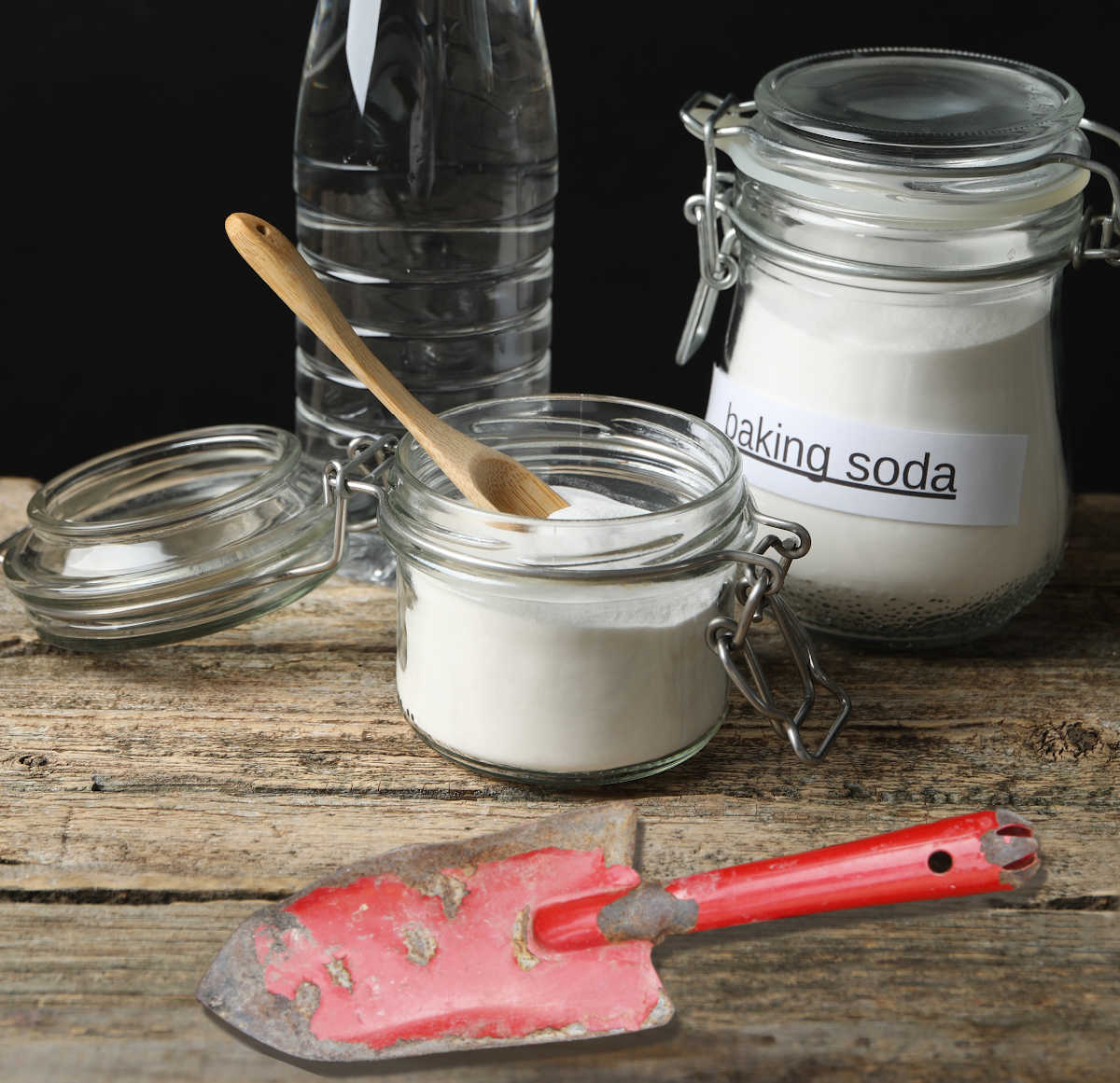 Jar of baking soda for cleaning rusty garden tools with water on a wooden bench.