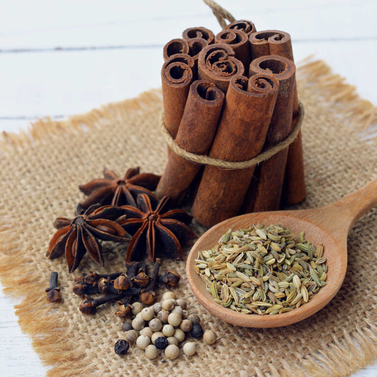 Five spice ingredients: cinnamon, cloves, star anise, peppercorns and fennel seeds.