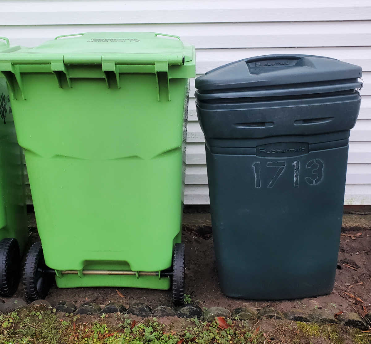 Two green garbage bins used for collecting garden refuse.