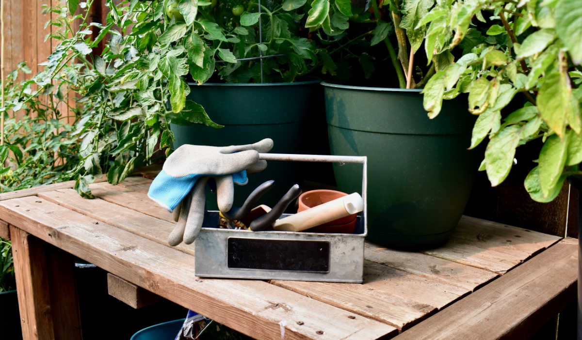A potting bench with garden tools and plants.