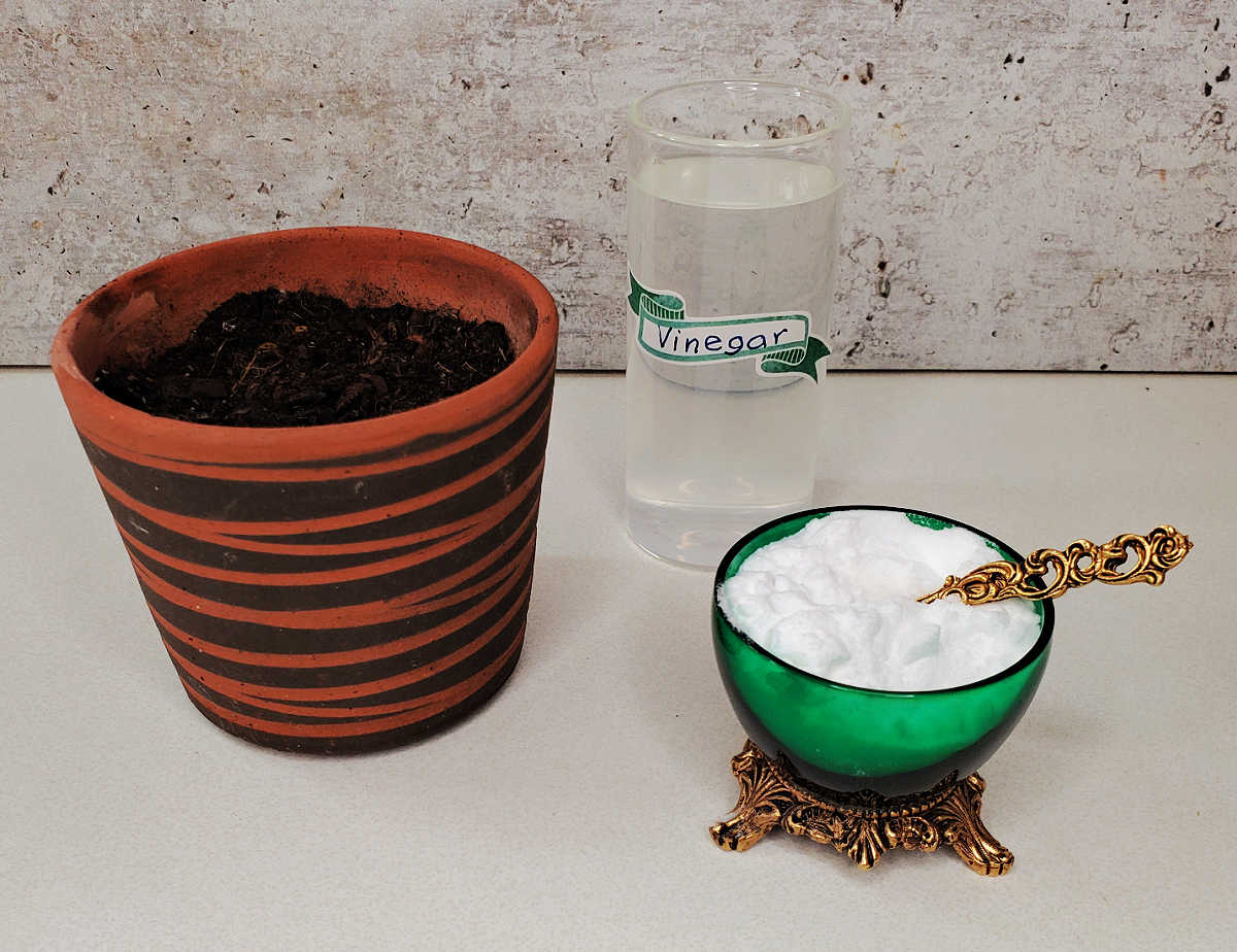 A jar of vinegar, bowl of baking soda and soil in a pot for a baking soda soil test.