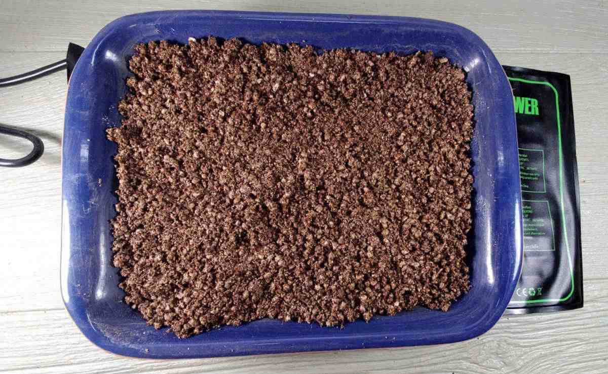 A container of seed starting soil with a heat mat under it to provide bottom heat.