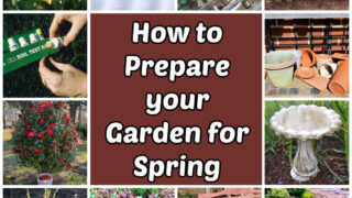 Pictures showing how to prepare your garden for spring, including soil testing, inspecting tools, pruning roses and cleaning a birdbath.