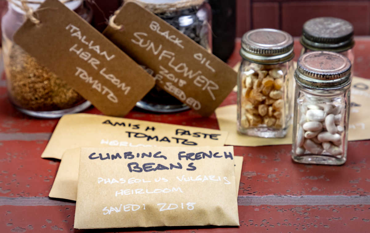 Seeds in airtight jars, envelopes and packages, labeled by type and date.