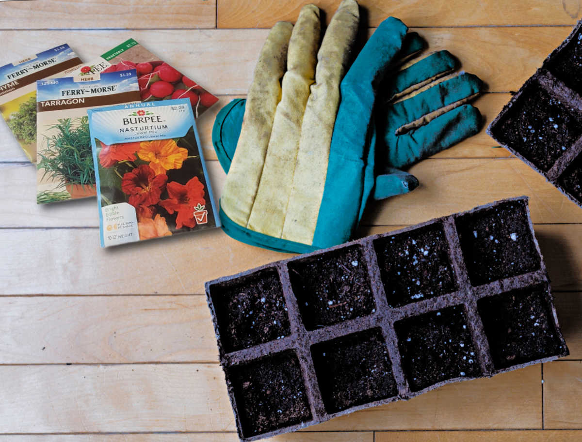 Seeds and gardening gloves with a biodegradable seed starting tray.