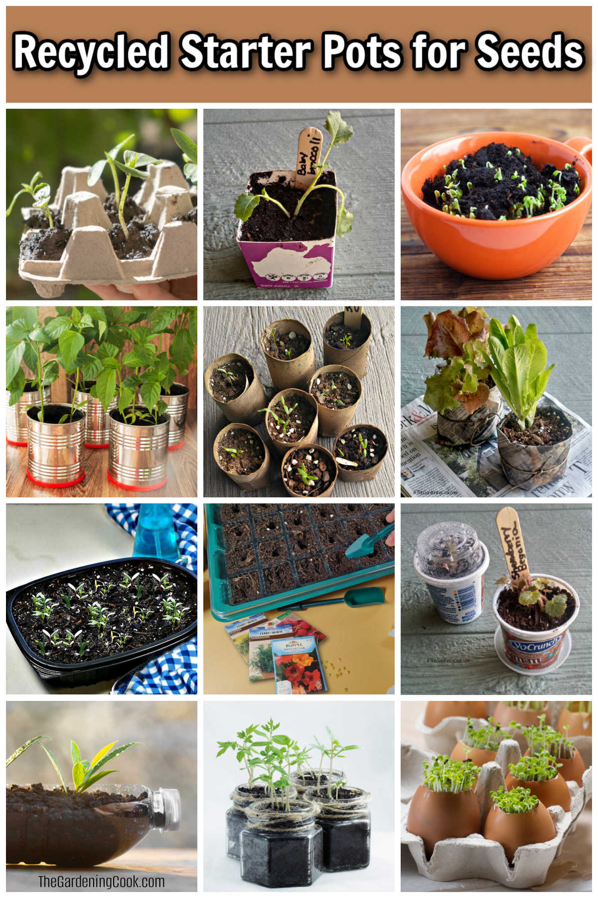 Pictures of recycled starter pots for seeds including egg cartons, tea cups, tin cans, eggshells, rotisserie chicken trays and toilet paper rolls.