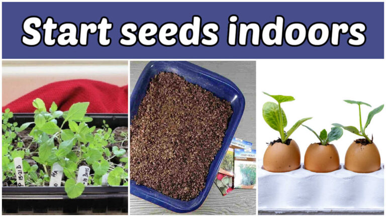 How to Prepare Your Garden for Spring )Checklist & 25+Tasks)