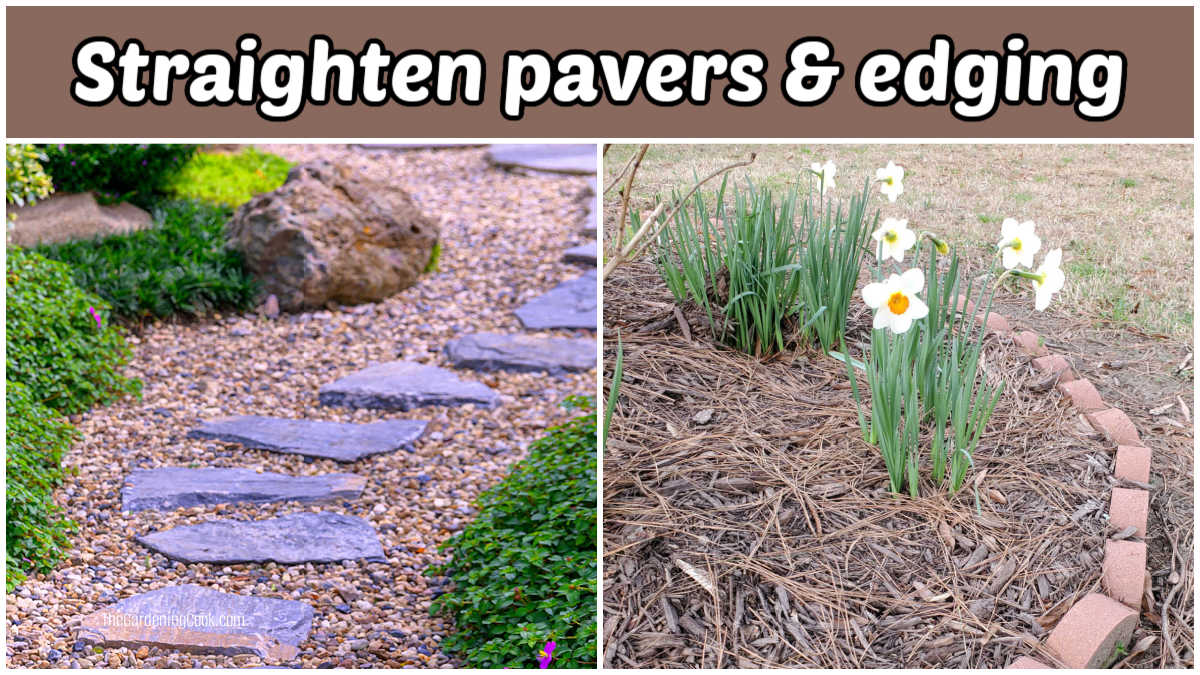 Cooked garden pavers and edging that need straightening in early spring.